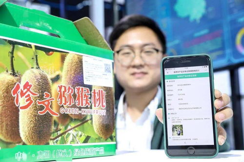 大數(shù)據能為鄉(xiāng)村振興做什么